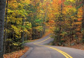 трасса, листья, Осень, горка, деревья, лес, дорога