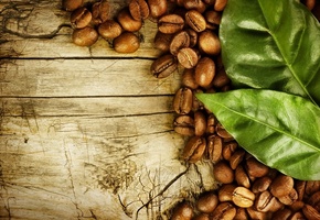 кофе, листья, фон, дерево, макро