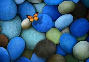 голубые, Камни, бабочка, коричневые