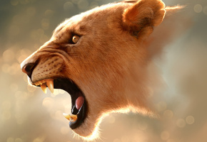 угроза, голова, Львица, пасть, зубы, рык, уши, саванна