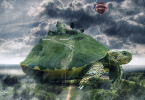 дождь, черепаха, гигантская, дом, Арт, лестница