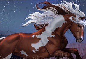 звезды, mustang, Арт, конь, ночь, холмы, aomori, бег