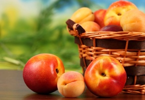 Персики, peaches, абрикосы, apricots, fruit, нектарин, фрукты