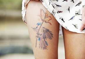 ноги, тату, Девушка