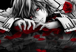 vampire knight, куран канаме, kuran kaname, рыцарь-вампир, Арт