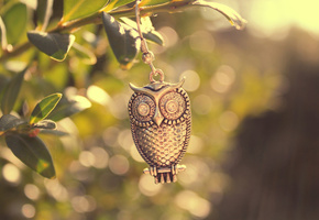 металл, сова, листья, свет, Макро, птица, ветка