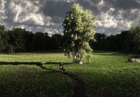 девушка, природа, лес, Арт, дерево, лютня, трава