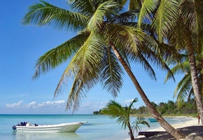 море, катер, небо, пальма, рай, небо, лето