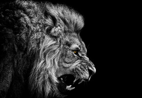 фон, Лев, природа