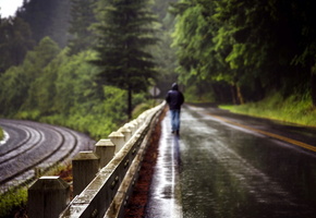 забор, Дорога, дождь