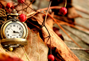 красные, Часы, листья, сухие, ягоды, карманные, осень