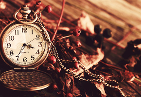 сухие, ягоды, Часы, циферблат, цепочка, карманные, осень