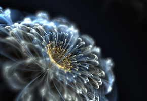 неон, цветок, Neon flower, абстракция