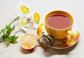 блюдце, Стол, чашка, напиток, чай, сеточка, апельсин