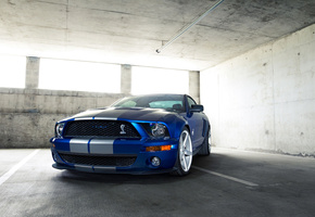 Ford, форд, шелби, gt500, shelby, mustang, авто, мустанг, avto