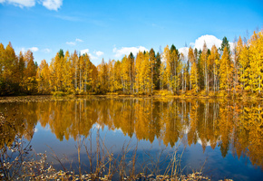 Природа, озеро, осень, небо, лес
