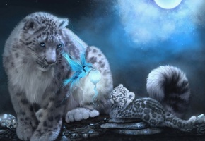 детеныш, ирбис, кошки, птица, малыш, Арт, дикие, барс