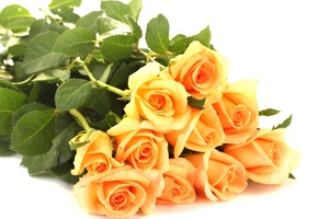 листья, цветы, оранжевые, Розы, лепестки, букет