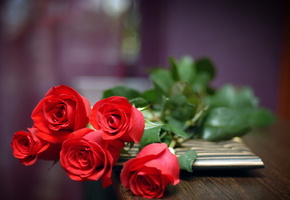 Розы, цветы, букет