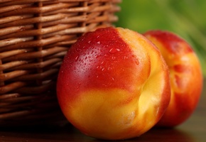 корзина, нектарин, фрукты, Персики, peaches