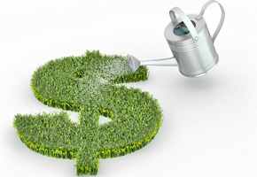 рост, лейка, доллар, Трава, прибыль, деньги, доходы