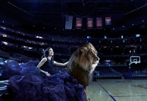 лев, гламур, арена, Девушка, кошки