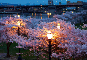 ночь, весна, фонари, огни, мосты, вечер, река, Город