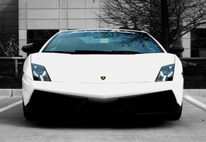 lamborghini gallardo, lamborghini, cars, wallpapers auto, gallardo, Auto, lp570-4, supercars