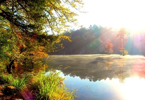 Река, берега, лучи, утро, природа, лес, дымка, солнце