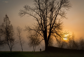 прогулка, закат, солнце, силуэты, туман, деревья, Вечер