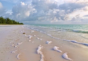 зелень, Природа, море, прибой, пена, побережье, песок