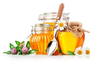 honey, ромашки, баночки, цветы, Мед, ложка, белый фон