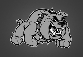 ошейник, собака, злая, клыки, серый фон, шипы, Рисунок