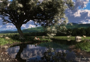 девушка, Арт, пруд, дерево, лань, озеро, олень, вода