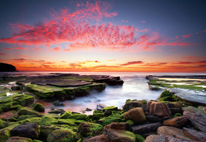 краски, мох, камни, облака, море, Небо, океан