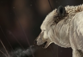 мех, снежинки, белый, Арт, морда, голова, волк, зима, снег