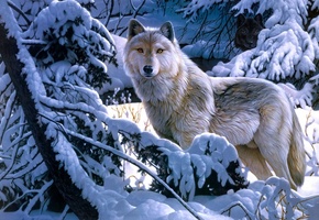 зима, Jerry gadamus, арт, лес, волк, снег