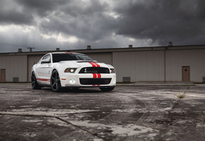 shelby, muscle car, форд, мустанг, mustang, белый, мускул кар, Ford, gt500