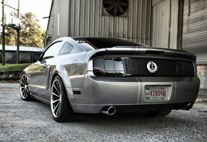 mustang, мустанг, форд, авто, шелби, Ford, avto, gt500, shelby