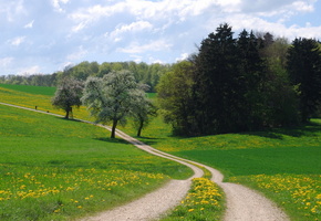 дорога, поле, пейзаж, Лето