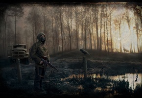 Survarium, сталкер, зил, болото, человек