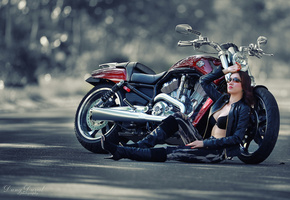 Harley-davidson, азиатка, девушка