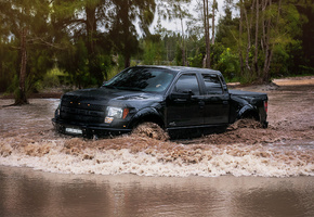 Wb ford raptor, черный, форд, болото, лес