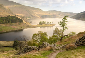 горы, природа, пейзаж, Озеро, дерево