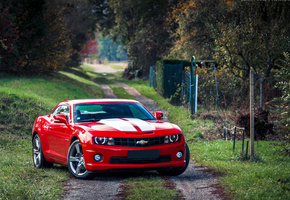 красный, камаро, red, шевроле, muscle car, Chevrolet camaro, мускул кар