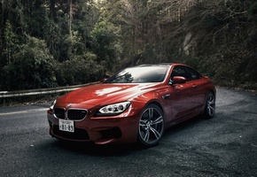 бмв, coupe, оранжевая, купе, лес, м6, Bmw, orange, japan spec, m6, машина