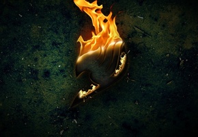 сказка о хвосте феи, знак гильдии, хвост феи, Fairy tail