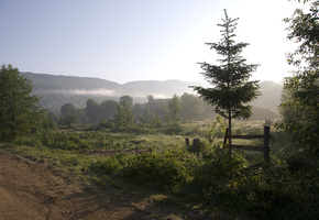 пейзаж, Утро, туман, деревья, горы, природа