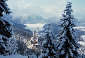 зима, замок, лес, красиво