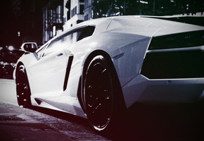 ламборгини авентадор, белый монстр, Lamborghini aventador